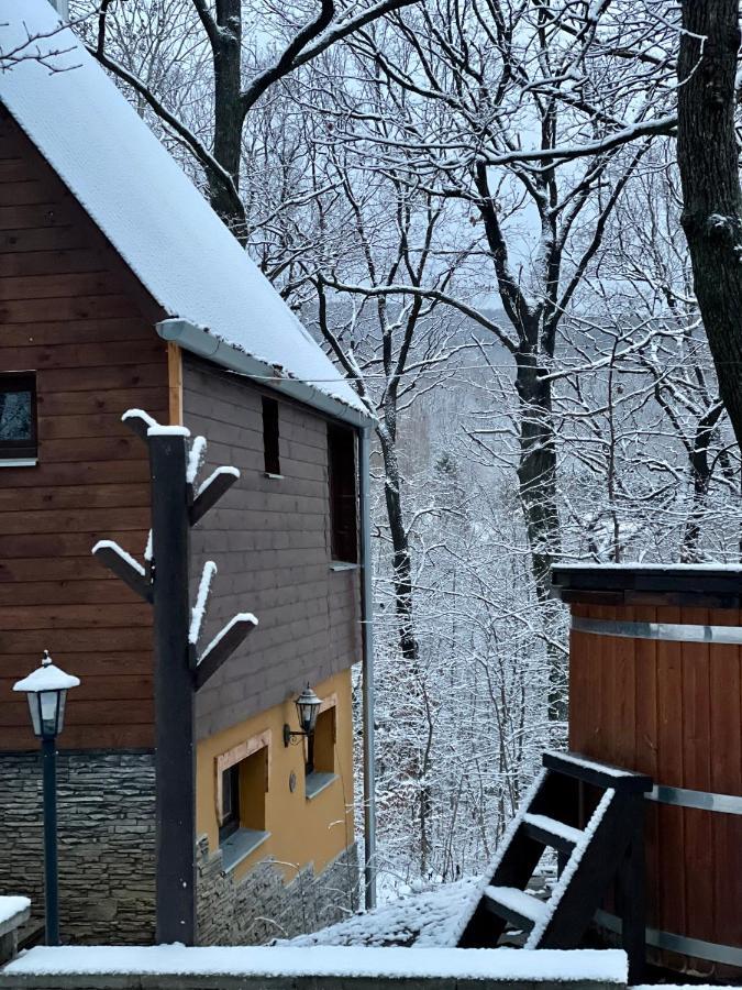 Ferienwohnung Toelgyes Menedek Noszvaj Exterior foto