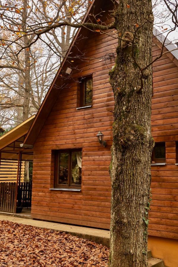 Ferienwohnung Toelgyes Menedek Noszvaj Exterior foto