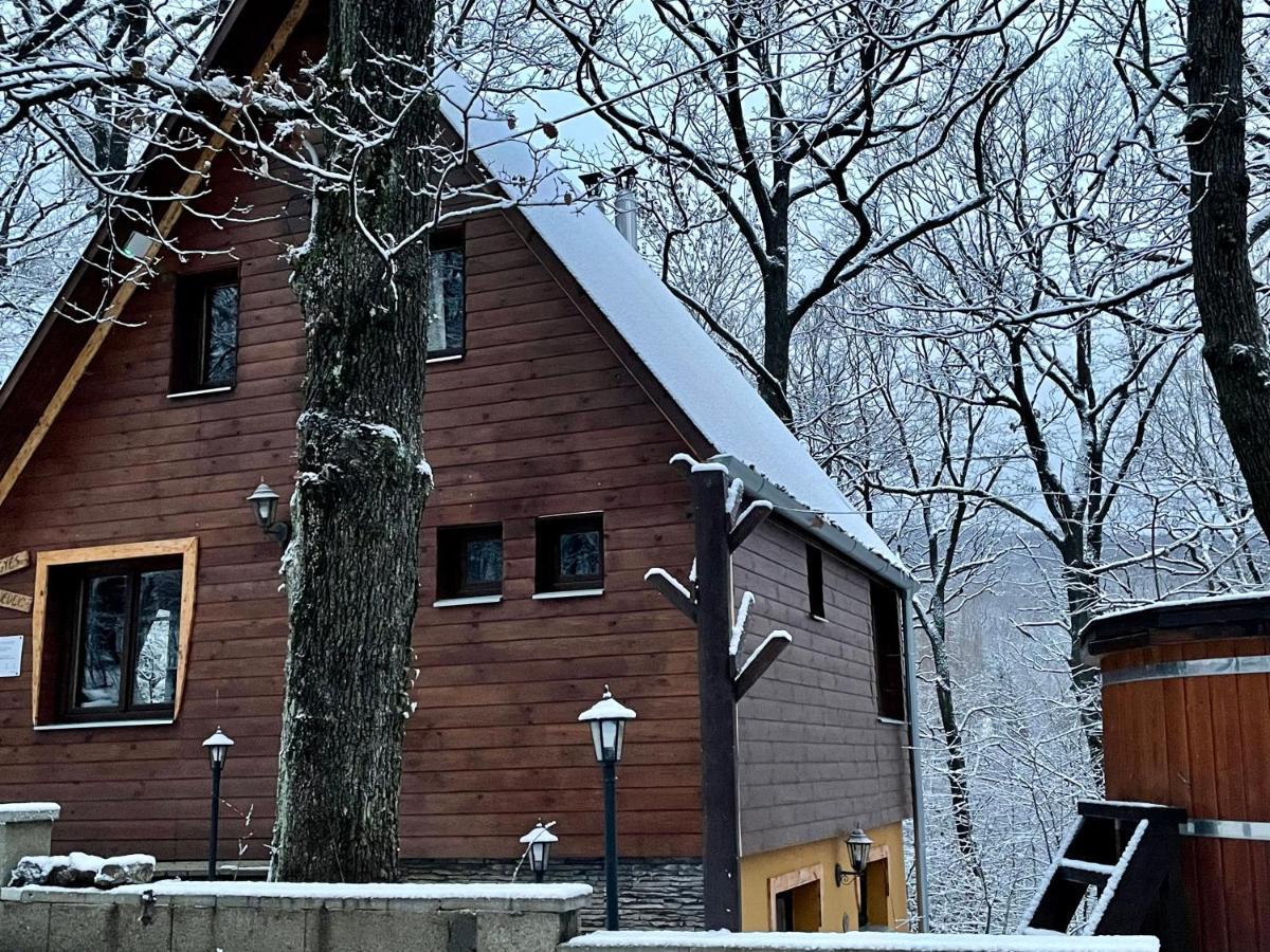 Ferienwohnung Toelgyes Menedek Noszvaj Exterior foto