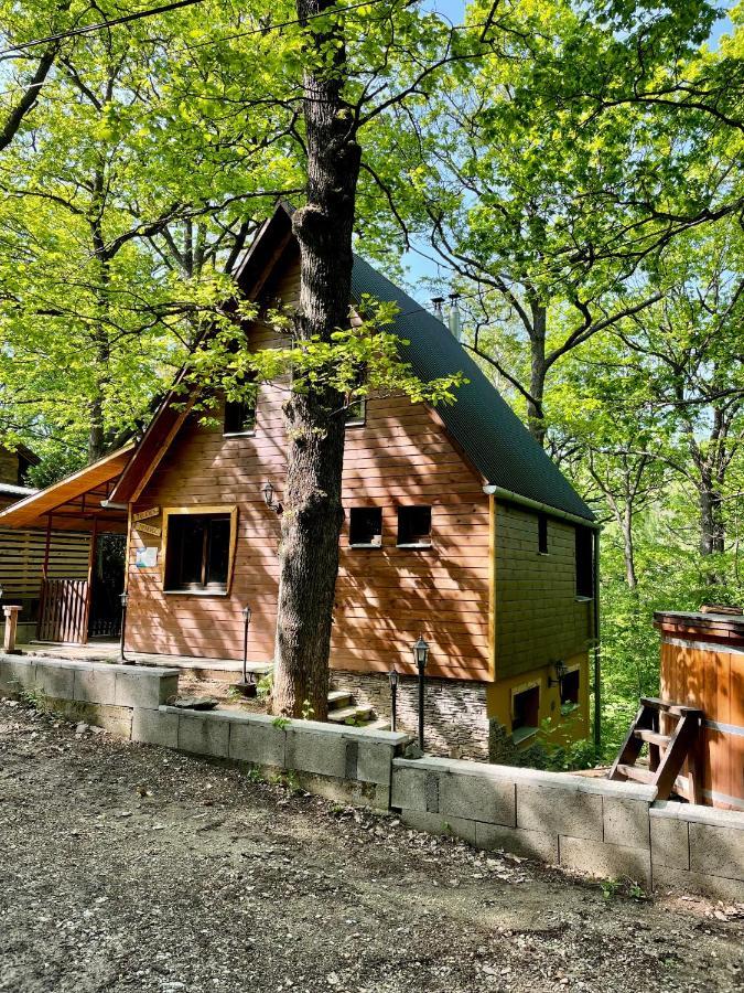 Ferienwohnung Toelgyes Menedek Noszvaj Exterior foto